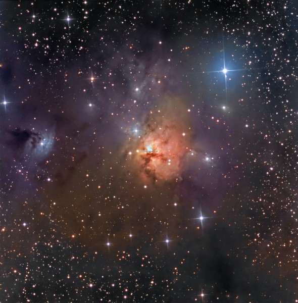 NGC1579WebF2_goldman-1.jpg