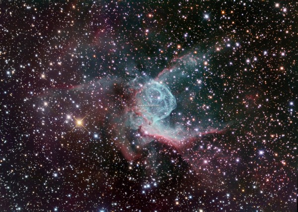 NGC2359AUL_gendler.jpg
