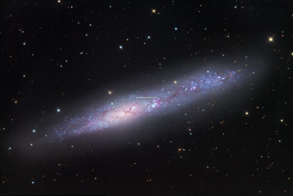 NGC55_gendler.jpg