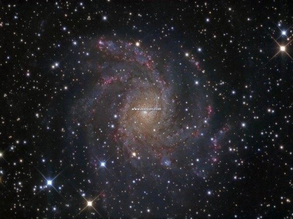 NGC6946_2008wendel.jpg