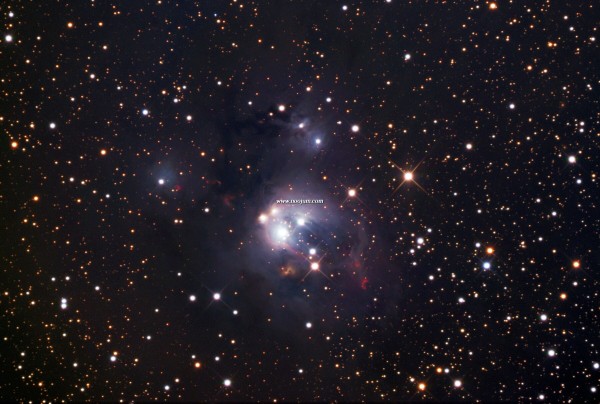 NGC7129NM_gendler_f.jpg