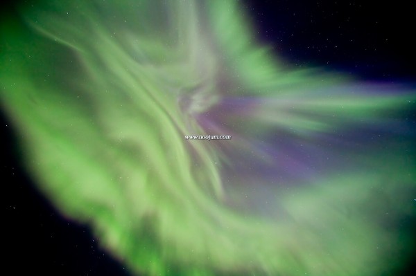auroracorona_kenwell_big-1.jpg