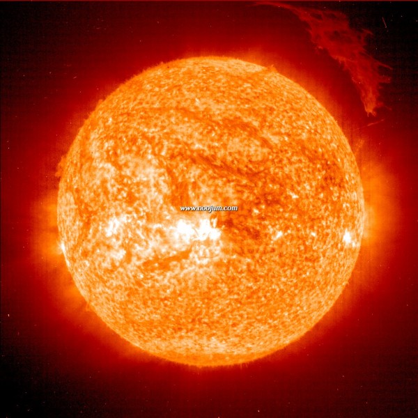 sunprom2_soho_big-1.jpg