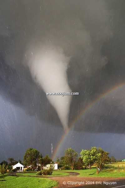 tornado_nguyen_big.jpg