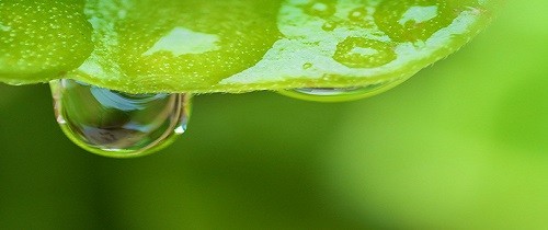 Les conditions de la vie sur une planète.
