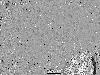 mars-photos