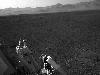 mars-photos