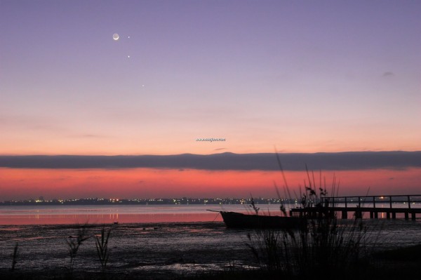 20090223mmjm2000px_MikeSalway.jpg