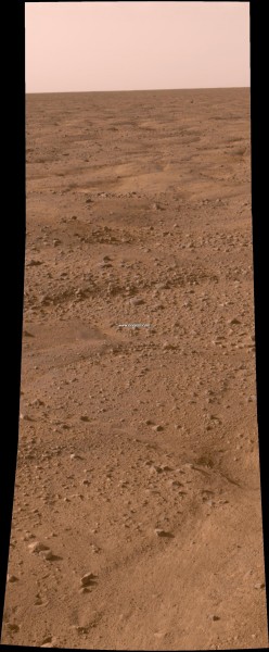 230118main_phoenix.jpg