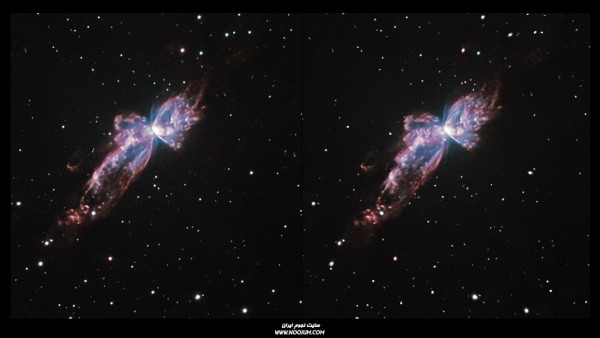 Bug_Natural_Parallel.jpg