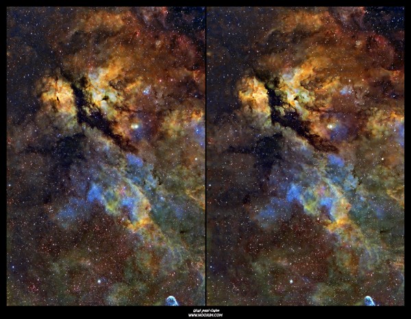 Butterfly_Parallel vision.jpg