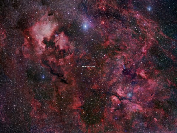 CygnusmosaicL_gendler.jpg