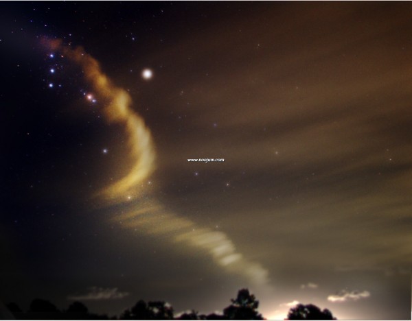 DiscoveryOrion_aurigema_f.jpg