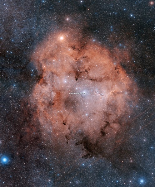 IC1396_demartin_f.jpg