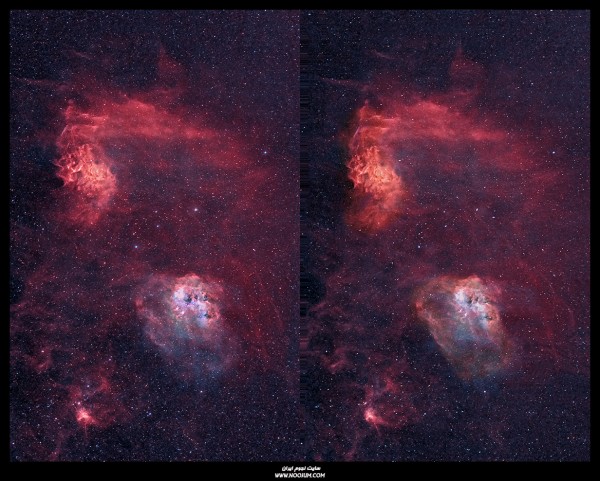 IC405w_Parallel vision.jpg