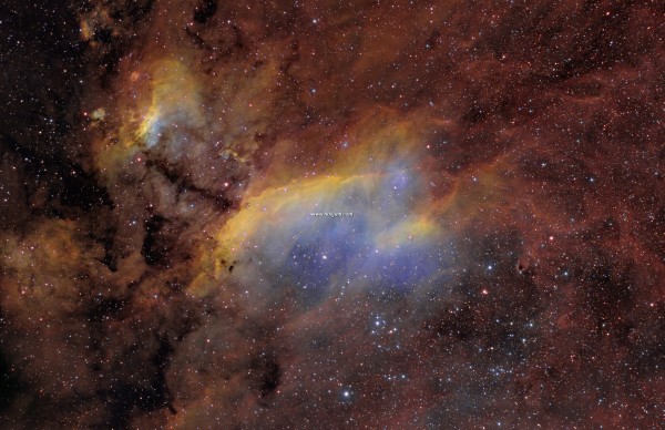 IC4628NB_pugh_f.jpg