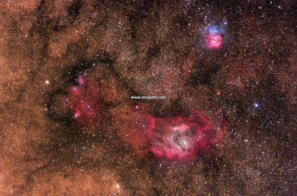 LagoonTrifid_mazlinmisti_f.jpg