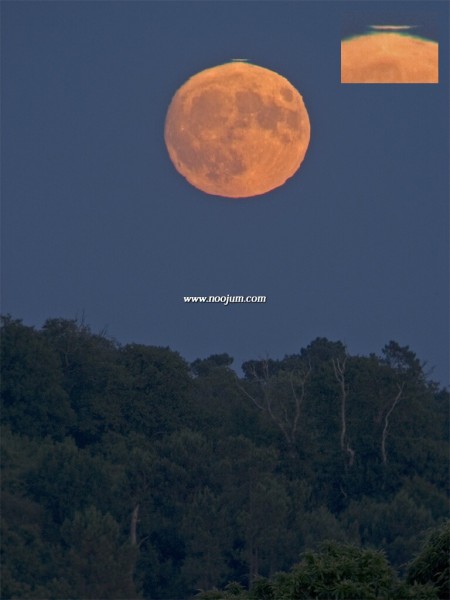 LunarGreenFlash_laveder_f.jpg