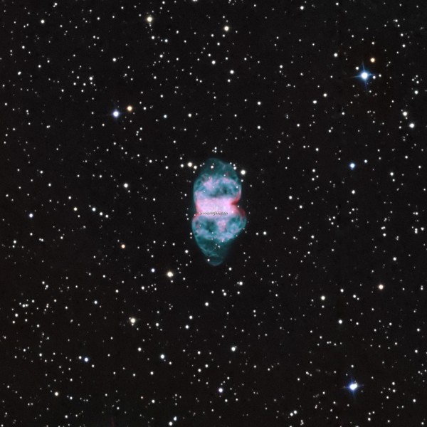 M76NB_goldmanRGB_Crop-1.jpg