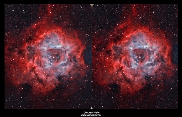 Natural-Roseleft2 cross.jpg