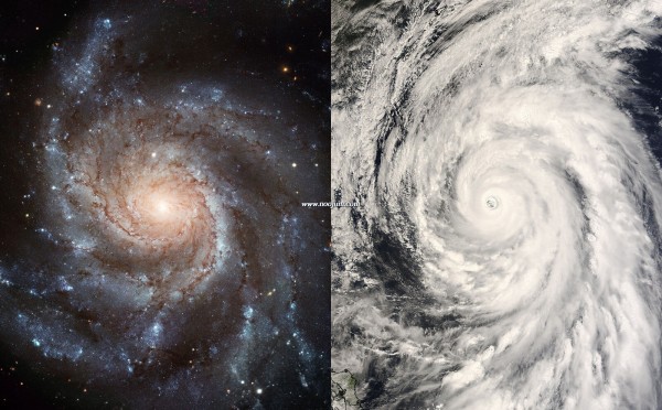 NaturalSpirals.jpg