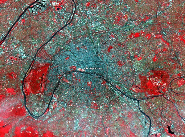 Paris Aster-1.jpg