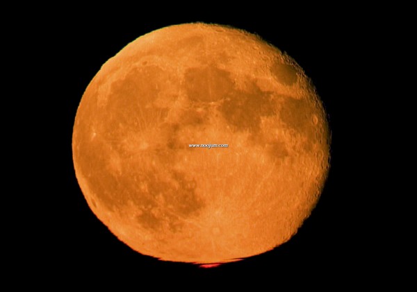 RedFlash_seip_f.jpg