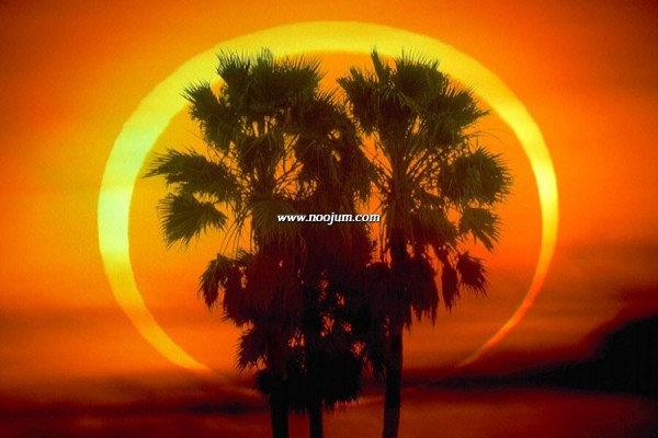 RingOfFire_mammana-1.jpg