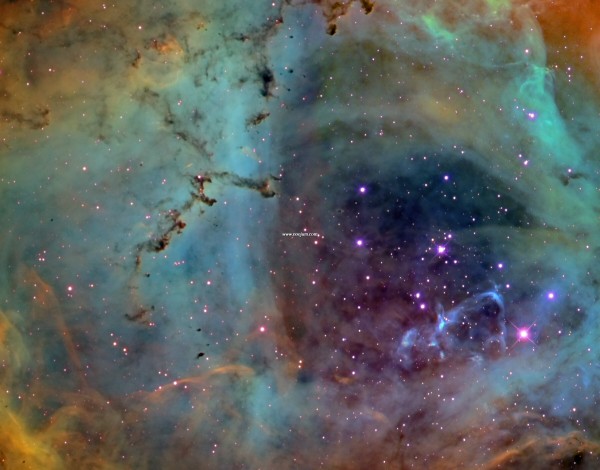 Rosette_ballauer_2400.jpg
