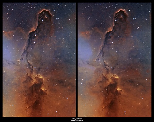 Trunk_Parallel.jpg