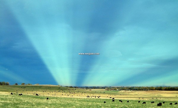 anticrepuscular_britton_big.jpg