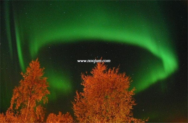 aurora_lindersen2_full.jpg