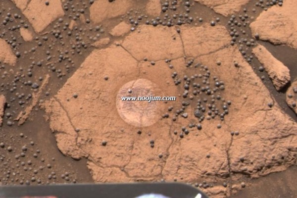 berrybowl_opportunity_big.jpg