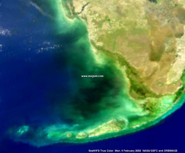 blackwater_seawifs_big.jpg
