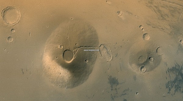 certholus_mgs_big.jpg