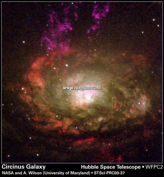 circinus_hst_big.jpg