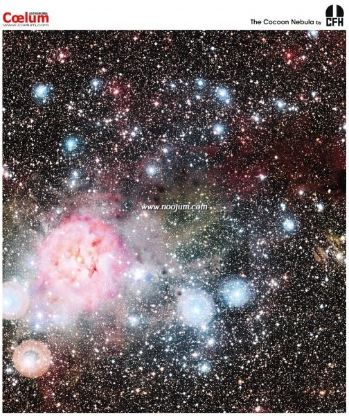 cocoon_cfht_big2.jpg
