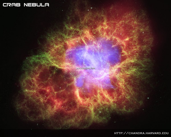 crab_1280composite_f.jpg