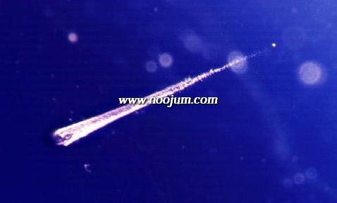 dusttrk_stardust_sm-1.jpg