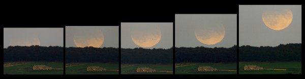 eclipse_lee_big.jpg
