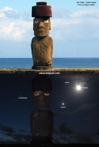 eisland_galfalk_big.jpg