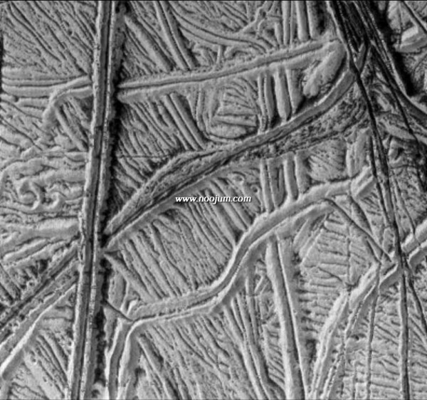 europafrost_gal_big.jpg