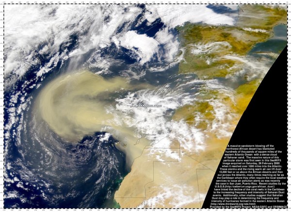 feb26sandstorm_seawifs_big.jpg