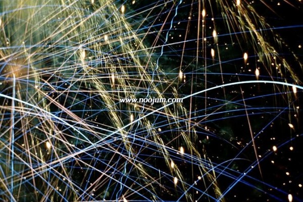 fireworks_steele.jpg