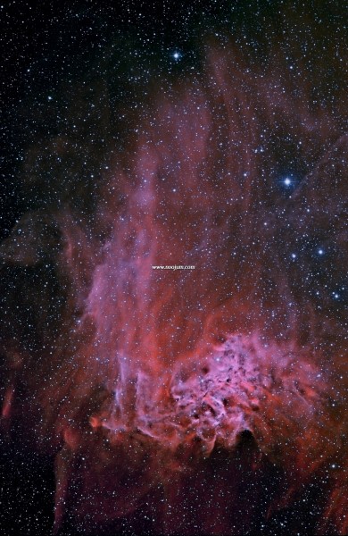 flamingstar_garcia_big-1.jpg