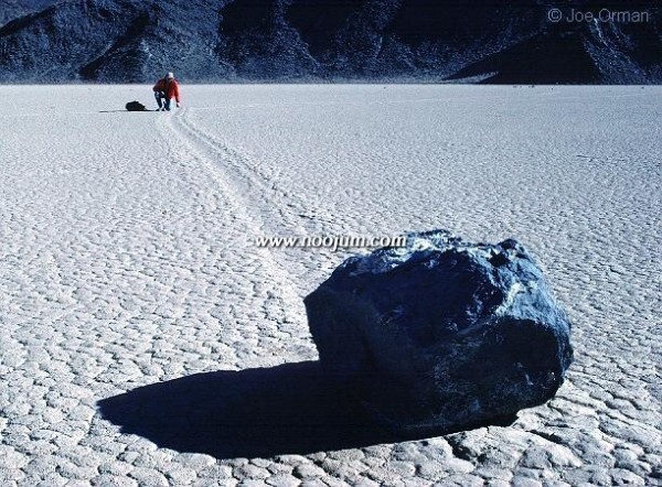 flatlake_orman_big.jpg