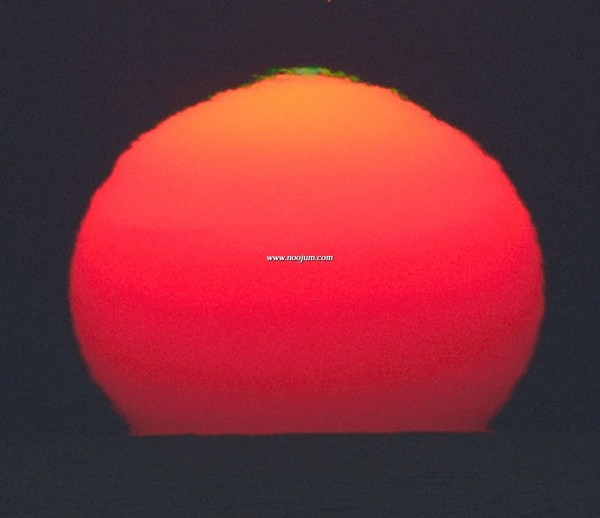 greenflash_casado_big.jpg