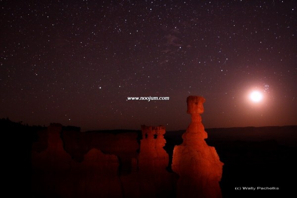 hoodooBC_pacholka.jpg