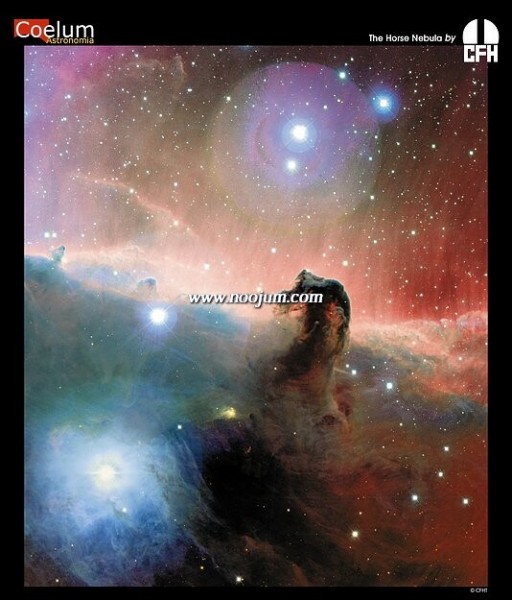 horsehead_cfht_big.jpg