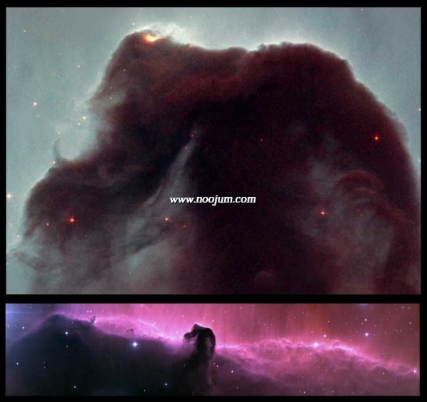 horsehead_hubblenoao_big.jpg